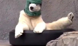 沙雕吃瓜爆料图片搞笑,爆笑瞬间，笑出腹肌！